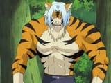 Mizuki&#039;s_Tiger_Transformation