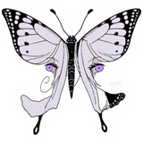 butterfly