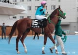show_photo