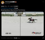 blue-archive-the-horse-has-won-its-first-ever-race-senseis-v0-pxi91q3dyieb1