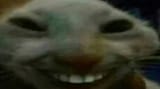 1734812215681