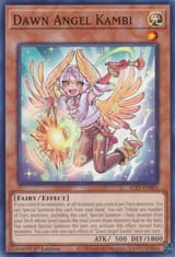 DawnAngelKambi-ALIN-EN-C-1E(1)