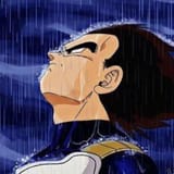 vegeta-rain 
