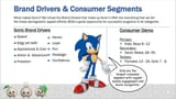 Sonic Corporate Rulebook