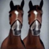 double horse