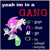 gang sonic acronym meme