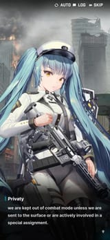 Privaty Combat bodies Triangle Squad
