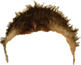 hair