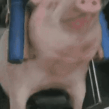 where he goin