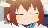smug deer