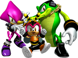 Team_chaotix