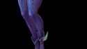recall animation_thumb.jpg