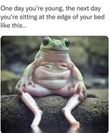 6525311405307193001