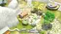 Sonic Boom S01e31 Chez Amy_thumb.jpg