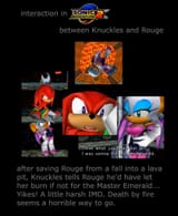 sa2metoerherd