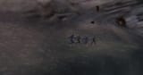 20250703184640_1