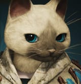 catstare