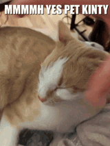 petkinty
