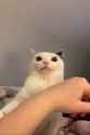 why are you doing this_thumb.jpg
