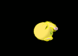 1746520460064536