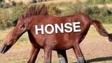 honse