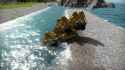 swim_thumb.jpg