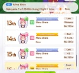 HaruArimaKinenRace