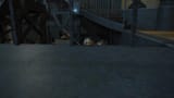 ffxiv_dx11_2025-07-03_20-12-11