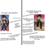 Bardock canon