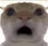 GaTFVnLXYAAAwny