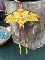 magic-of-life-butterfly