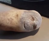 1586021462670