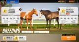 steamwebhelper_nmwUxCc0zS