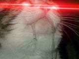 1707450656648045