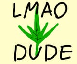 weed lmao