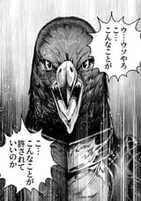 shouting birb