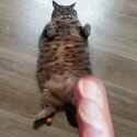1699987995406358_thumb.jpg
