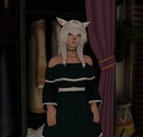 ffxiv_dx11_pR9LQT4bF9