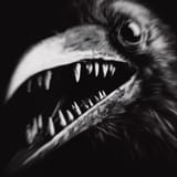 crow-screeching