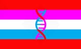 incestprideflag