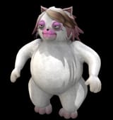 Spore catti