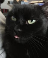 unhappydblepmoonie