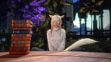 2025-03-19_11-35-01-384_Evening