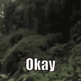 okay-ok