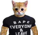bapes you
