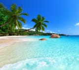 TOTAL SHORE