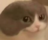 hi_2