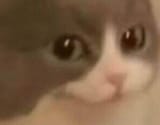 hi_3