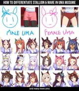 gender