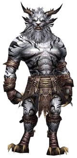 Charr_elementalist